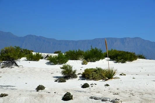 Dunas de Yeso