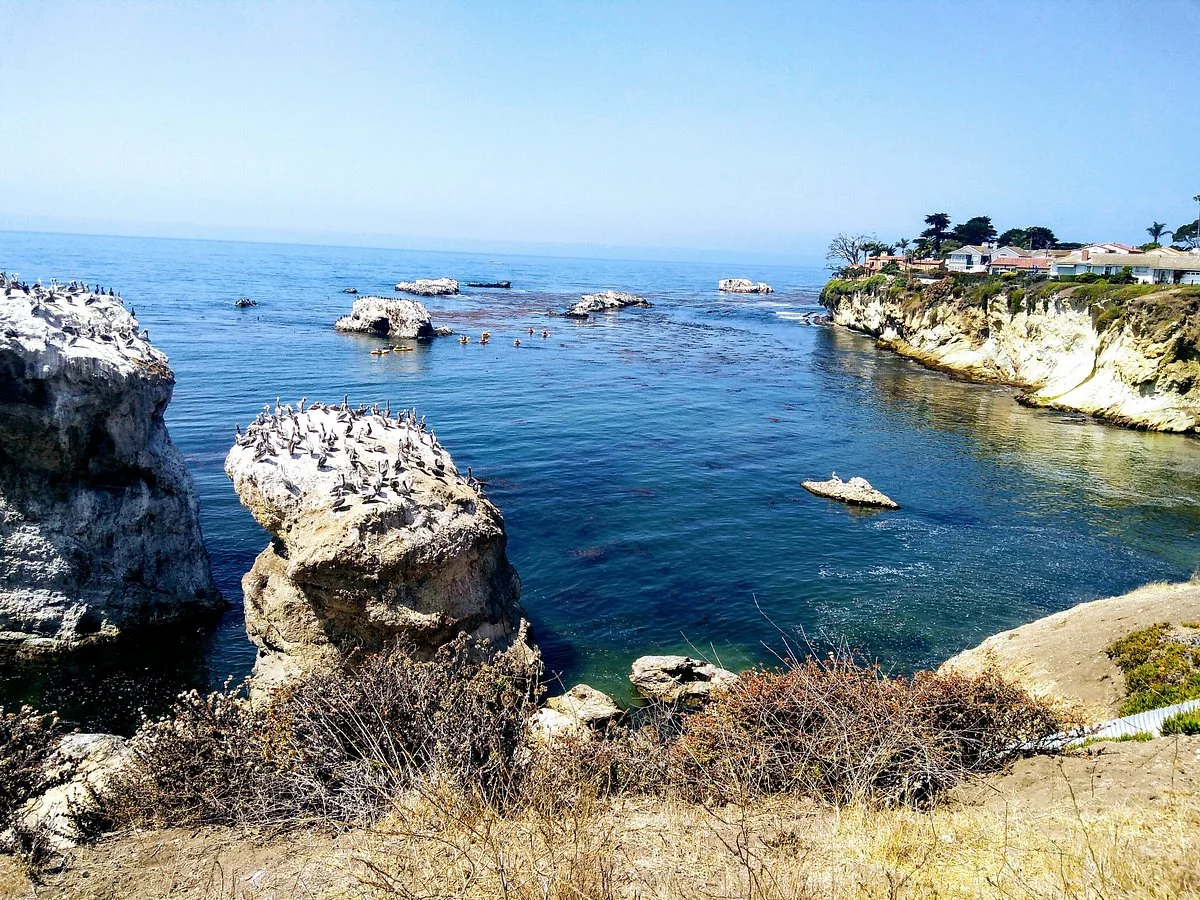 Margo Dodd Park