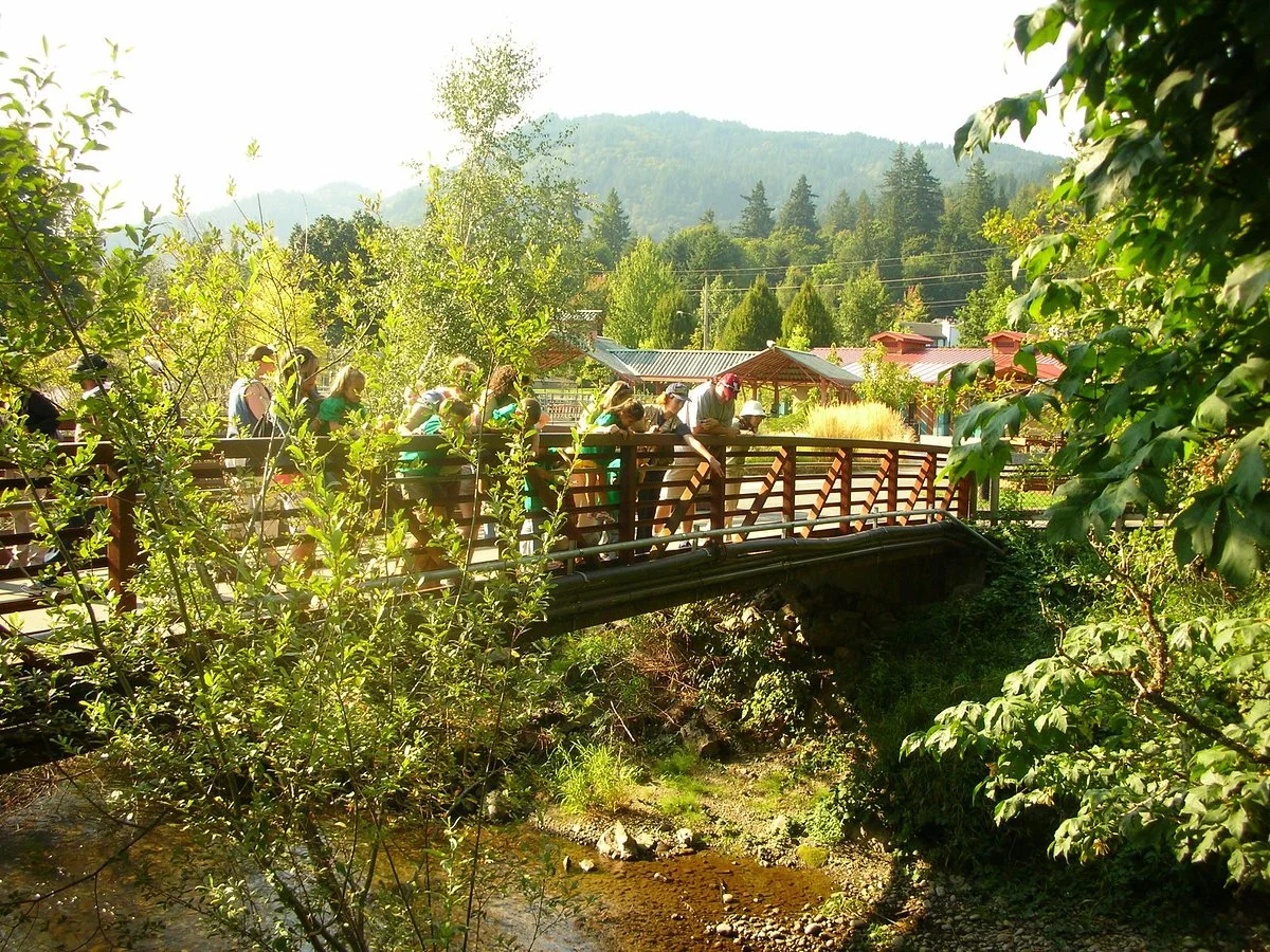 Friends of Issaquah Salmon Hatchery