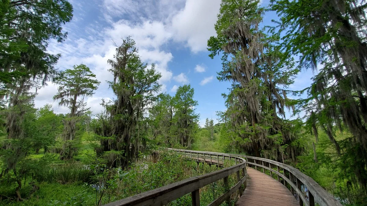 Phinizy Swamp Nature Park