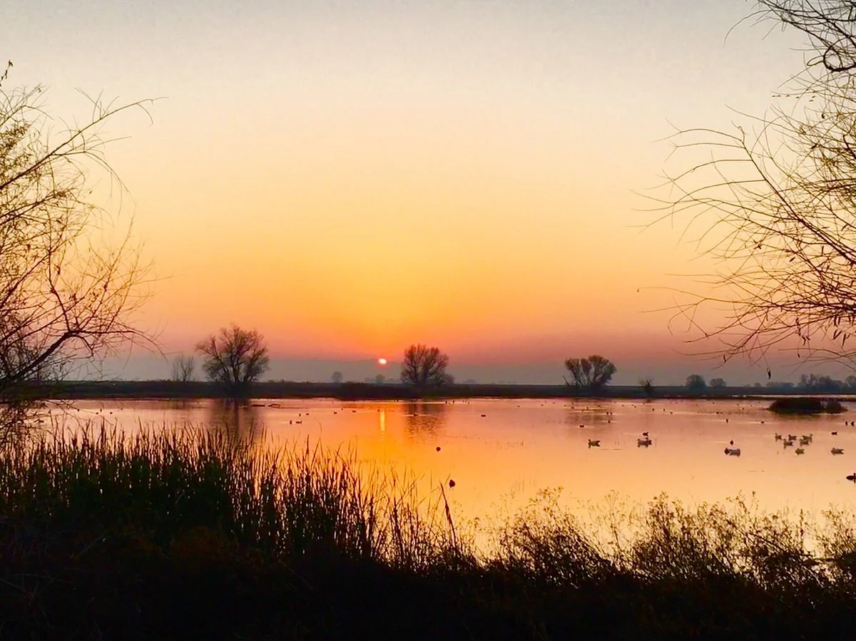 Merced National Wildlife Refuge