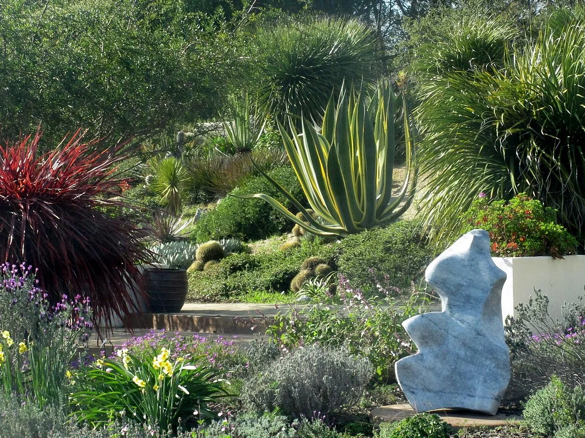 UCSC Arboretum