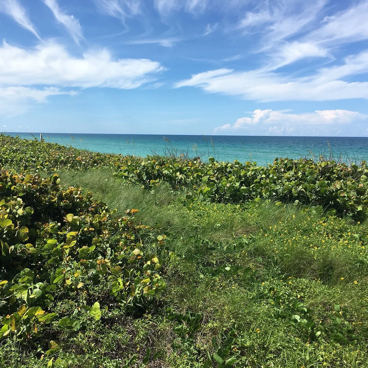 Barrier Island Center