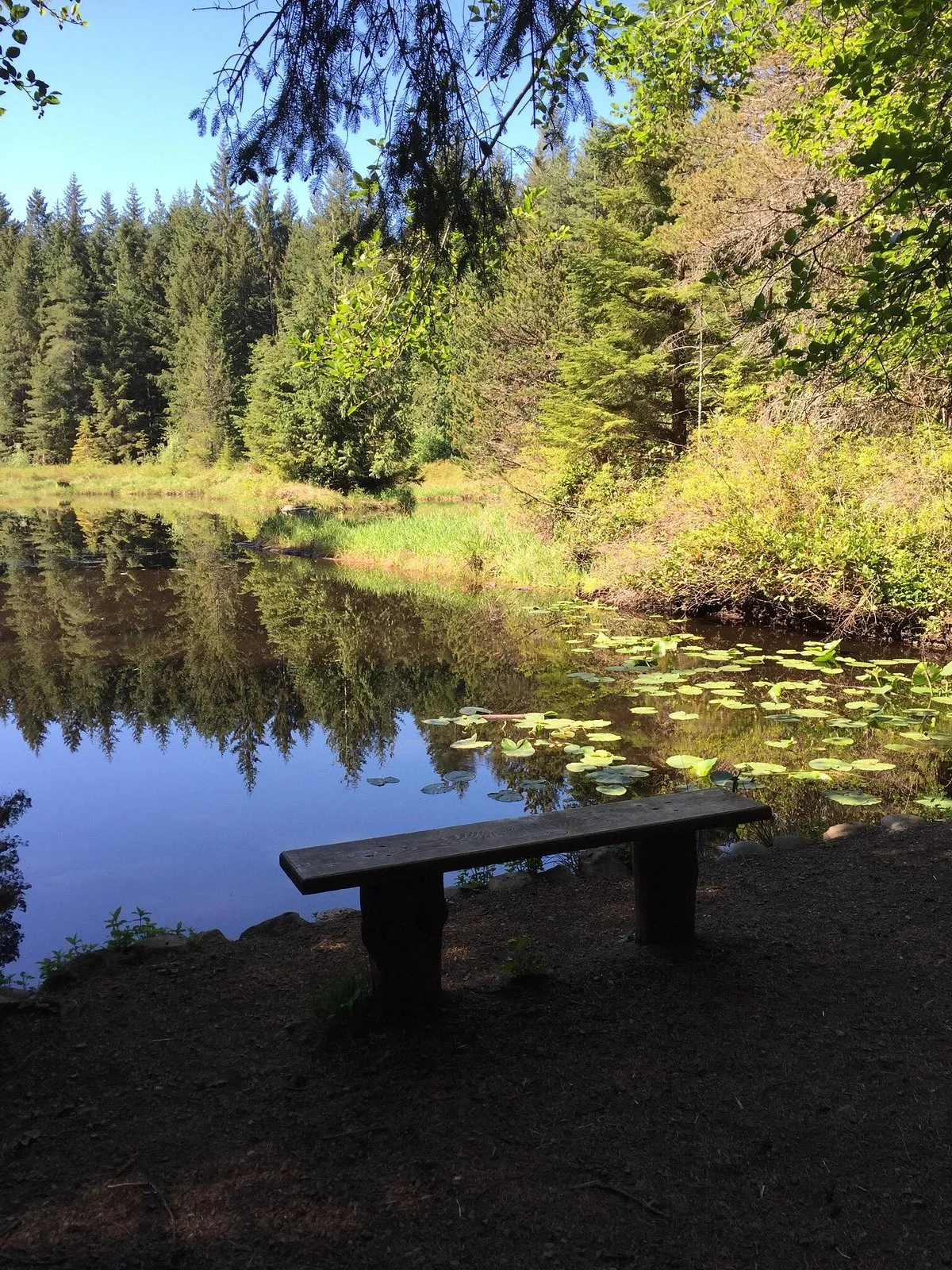 Seal Bay Nature Park