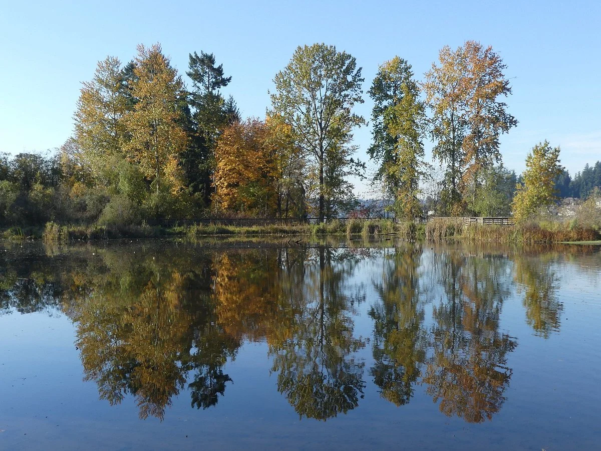 Juanita Bay Park