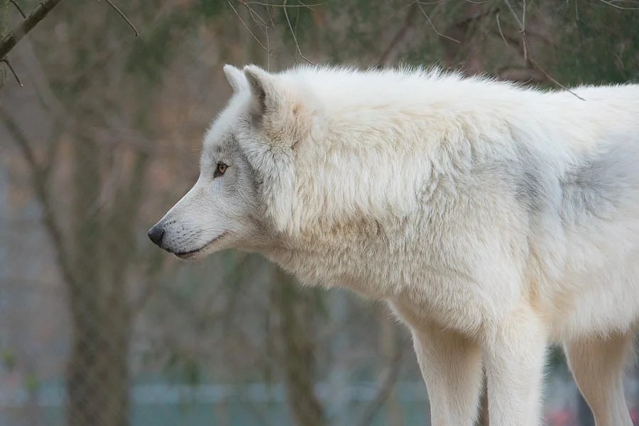 Conservators Center