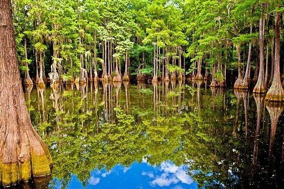Tallahassee Museum
