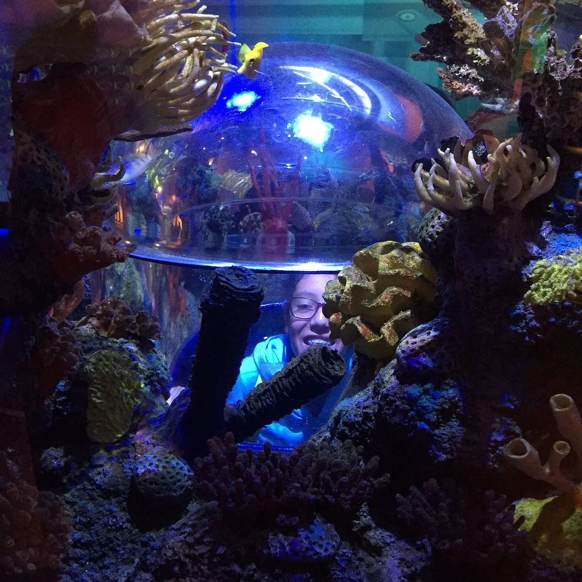 SEA LIFE Aquarium