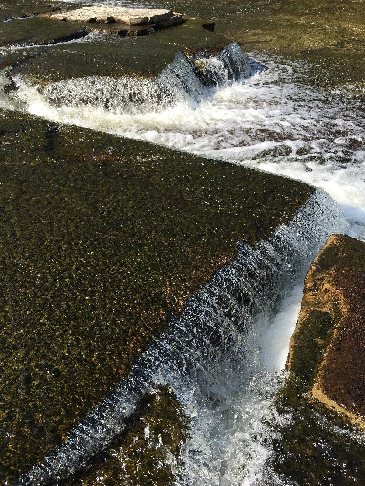 Vanderwater Conservation Area