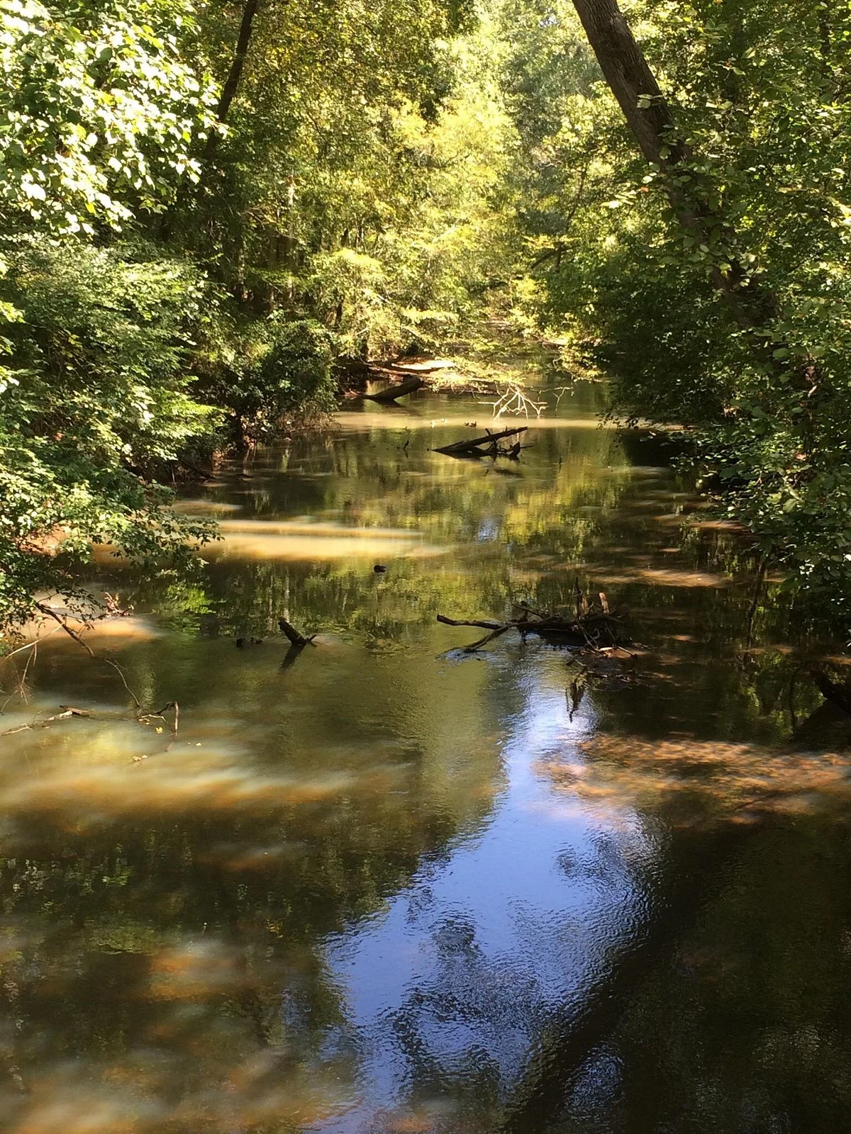 Big Creek Greenway