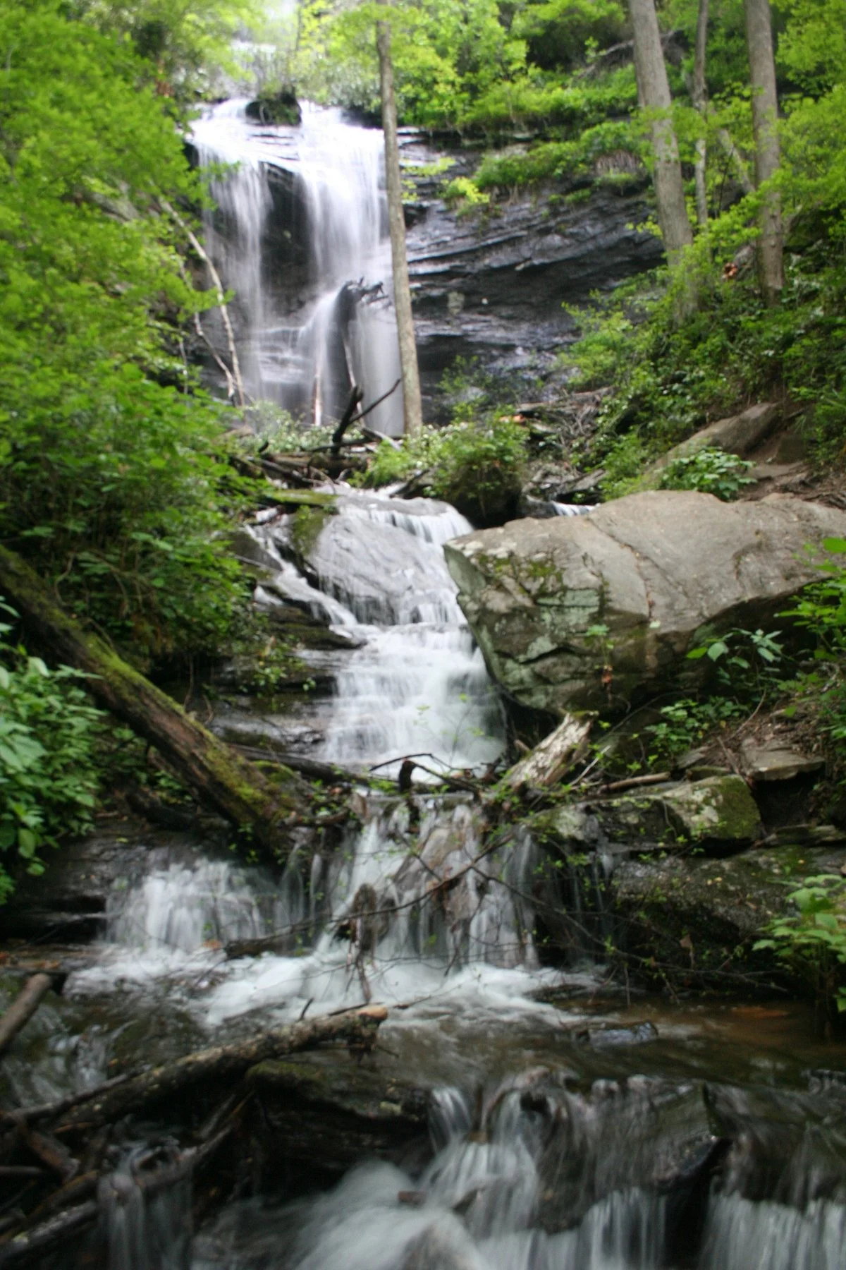 Pisgah National Forest