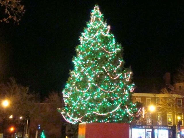 Taunton Green