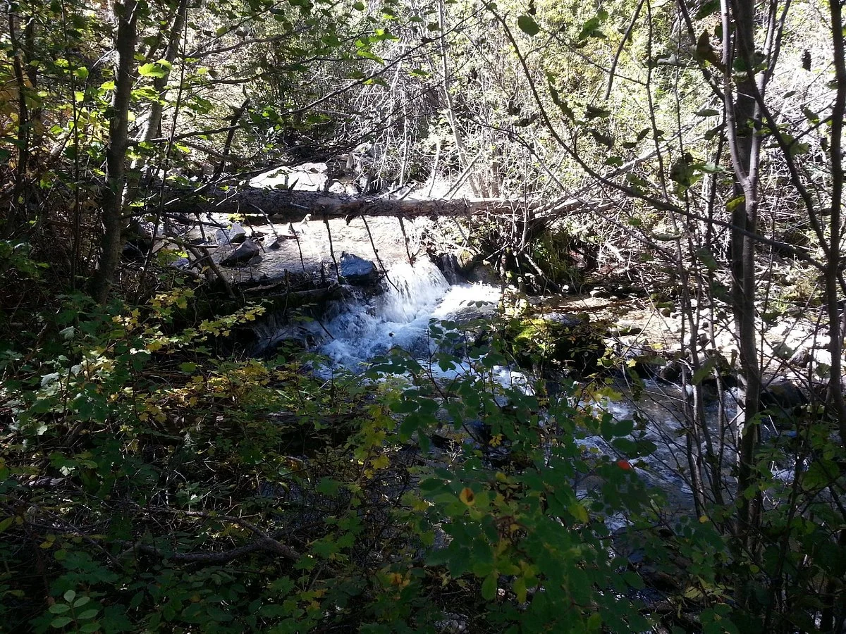 Columbine Trail