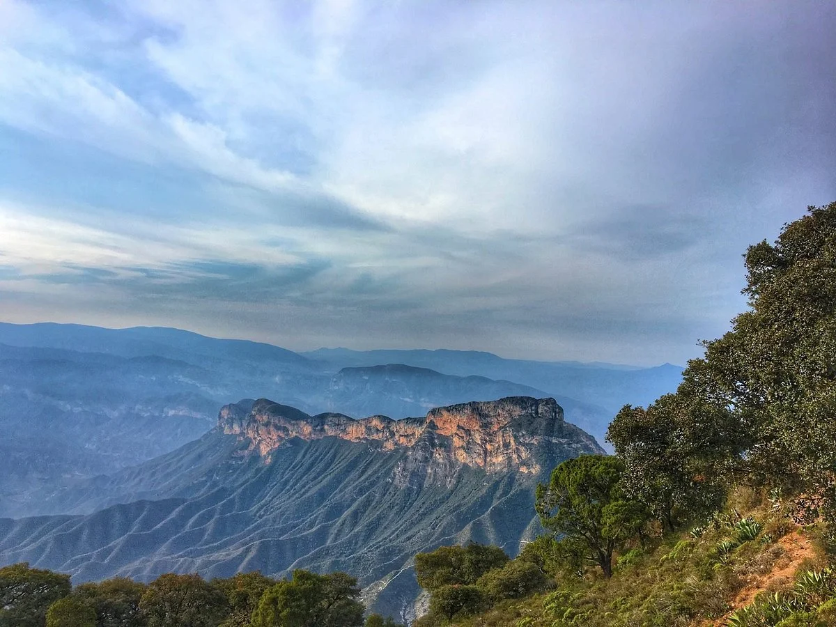 Mirador Cuatro Palos