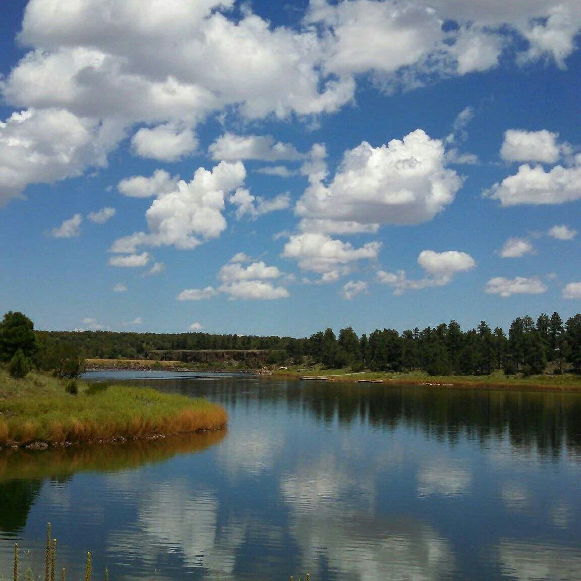 Fool Hollow Lake Recreation Area