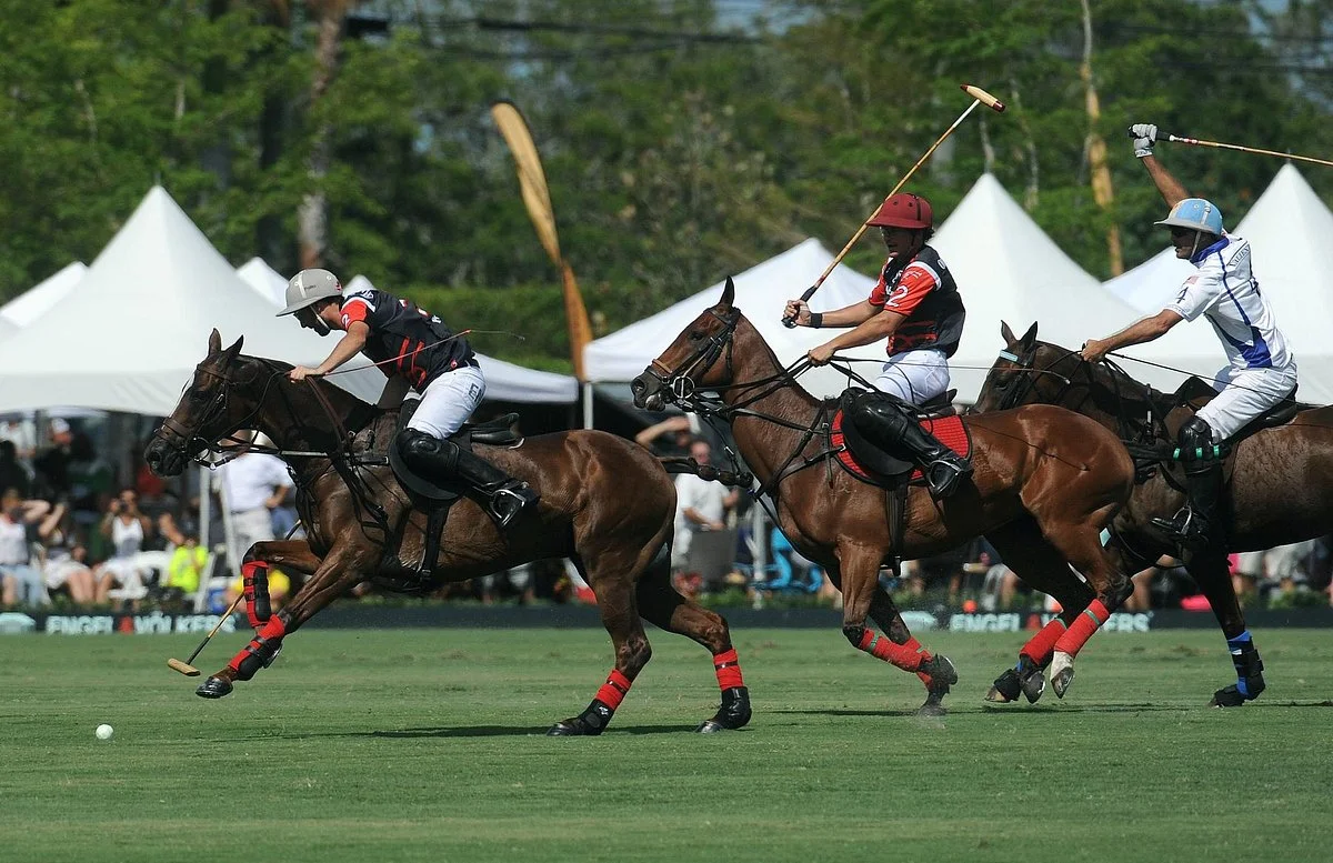 National Polo Center