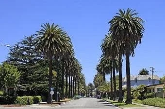 Montana Avenue