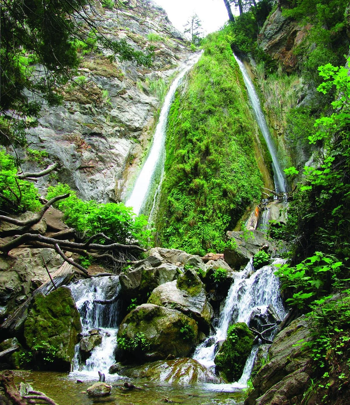Limekiln State Park