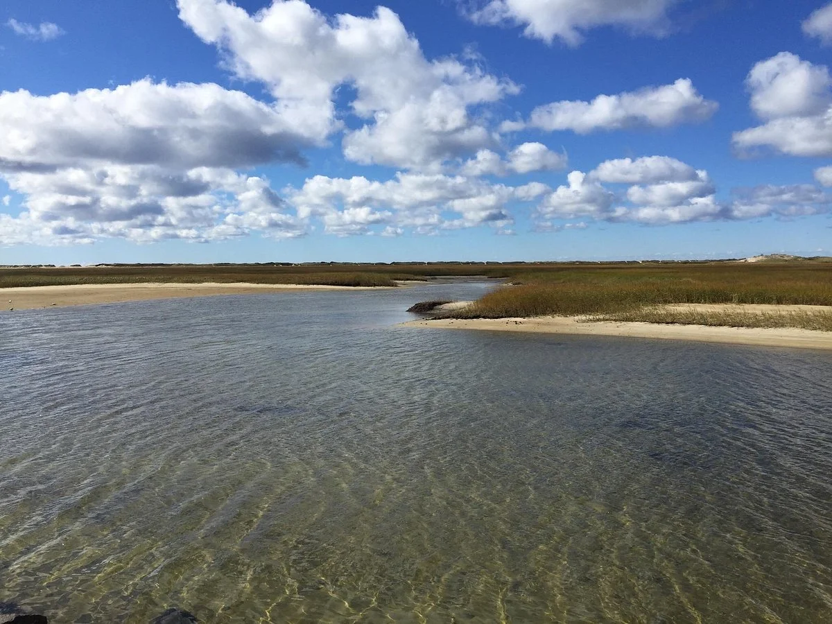 Long Point