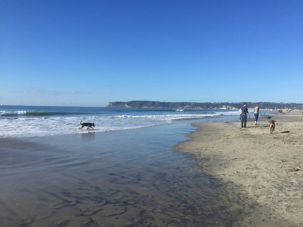Coronado Dog Beach