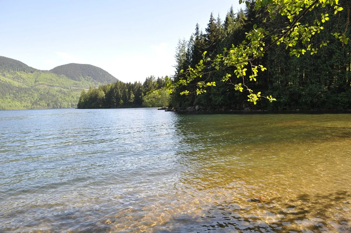 Hicks Lake