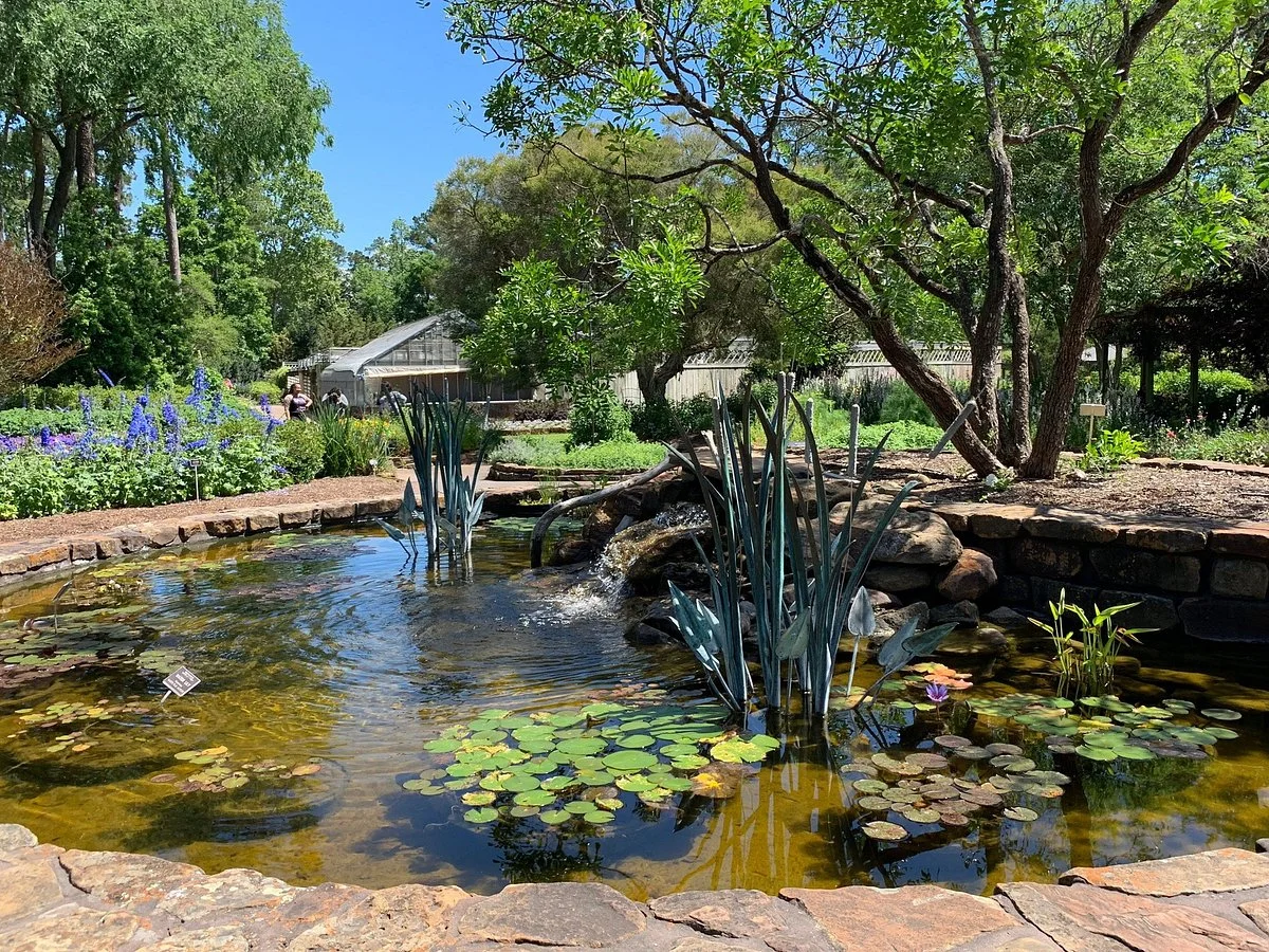 Mercer Arboretum & Botanic Gardens