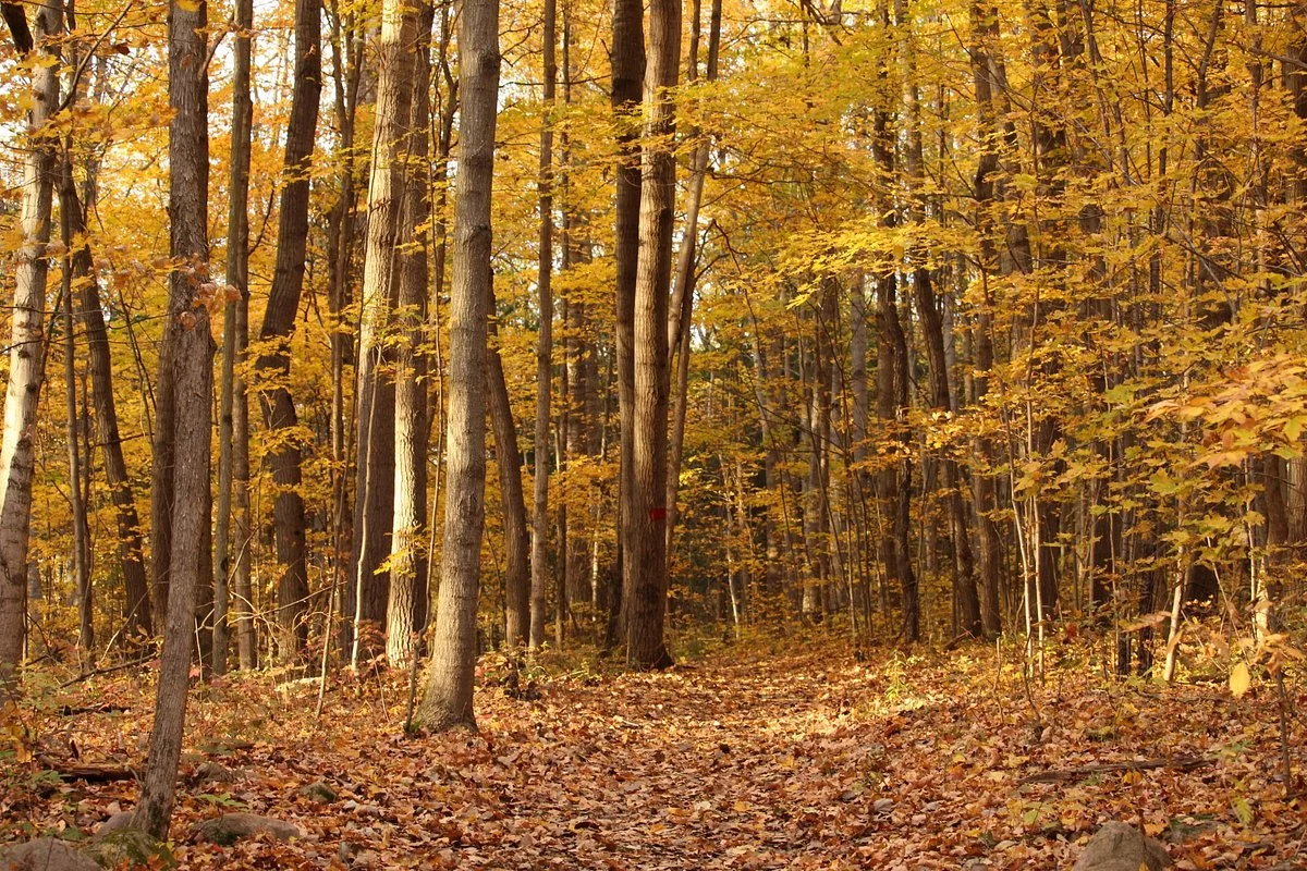 H.R. Frink Outdoor Education Centre