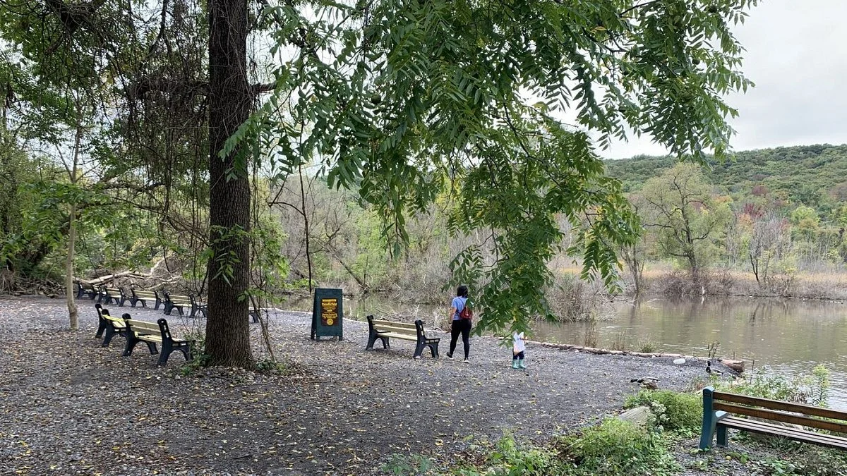 Webster Pond