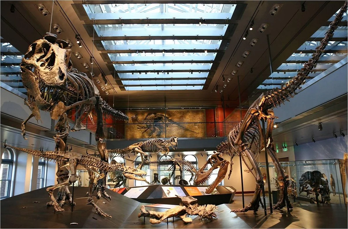 Natural History Museum of Los Angeles County