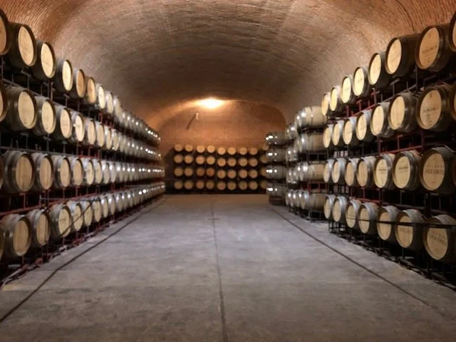 Freixenet México