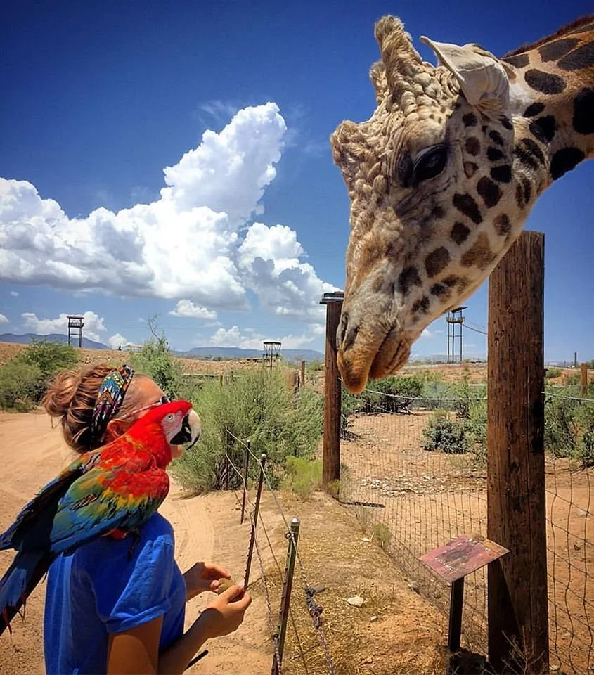 Out of Africa Wildlife Park