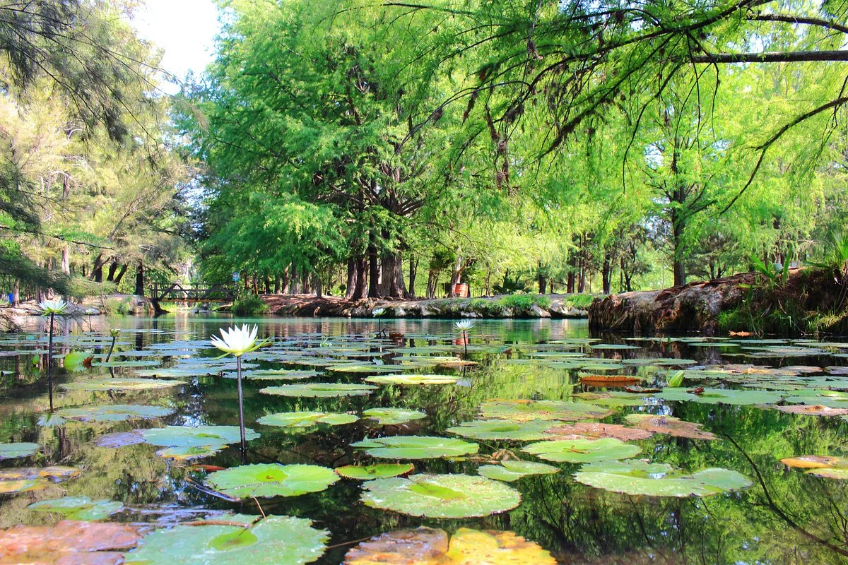 Laguna de la Media Luna