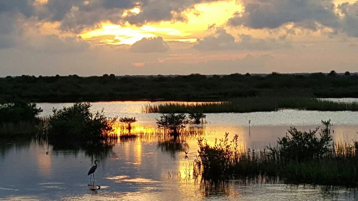 Black Point Wildlife Drive