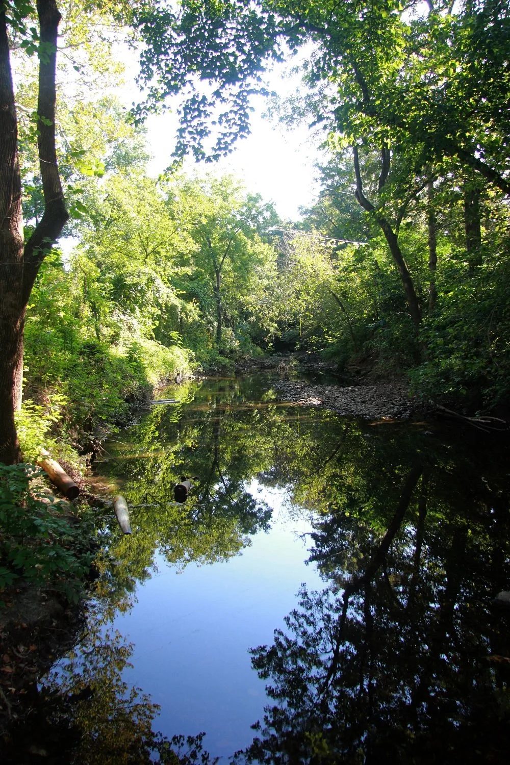 National Audubon Society