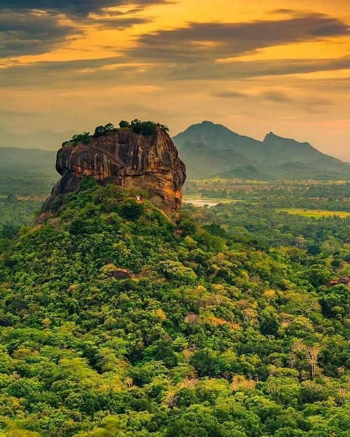 Sigiriya Museum