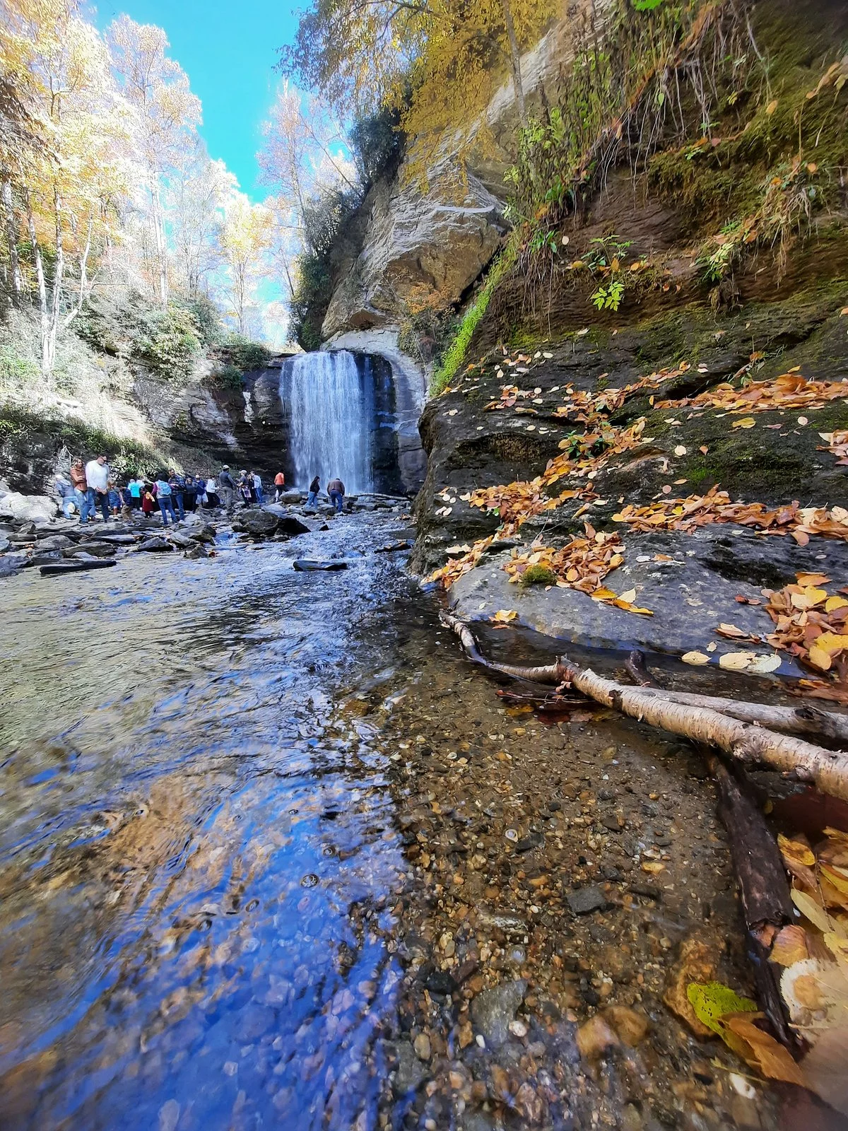 Connestee Falls