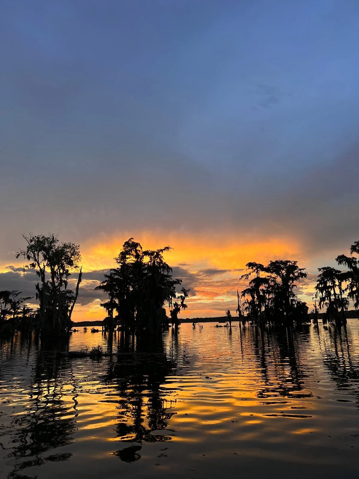 Lake Martin