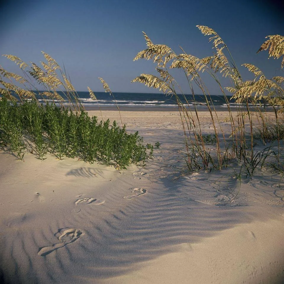 Fort Macon State Park