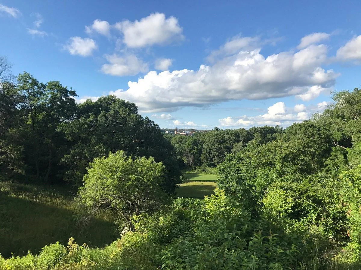Nichols Arboretum