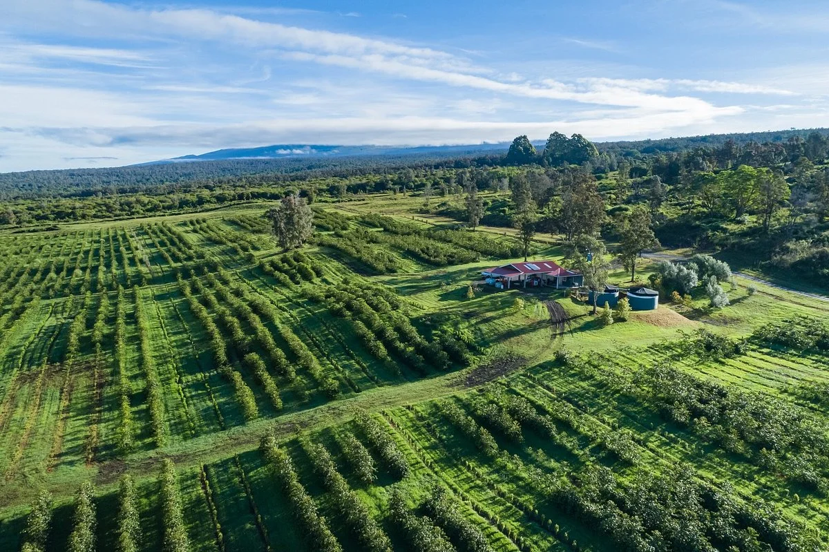 Greenwell Farms
