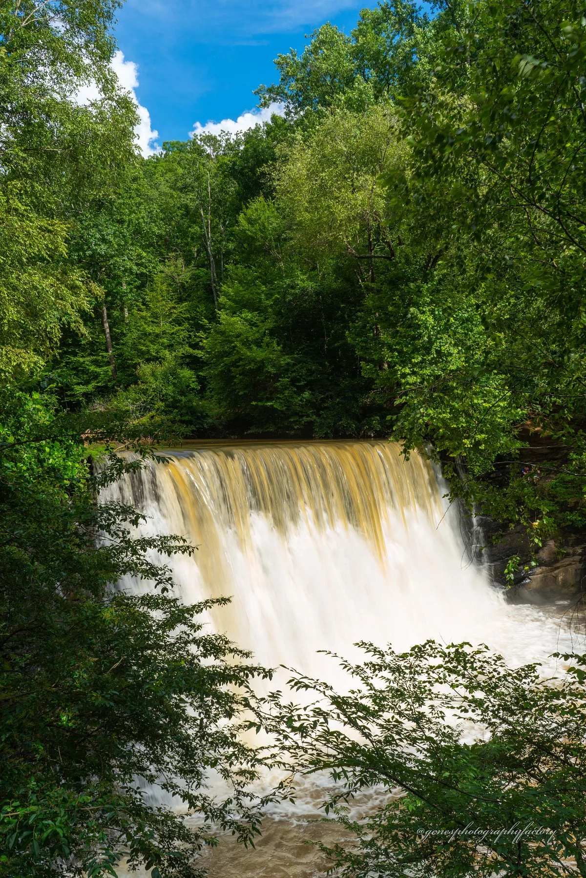Vickery Creek Trail