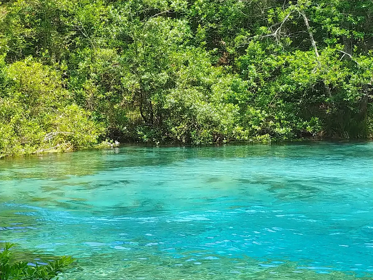Ichetucknee Springs State Park