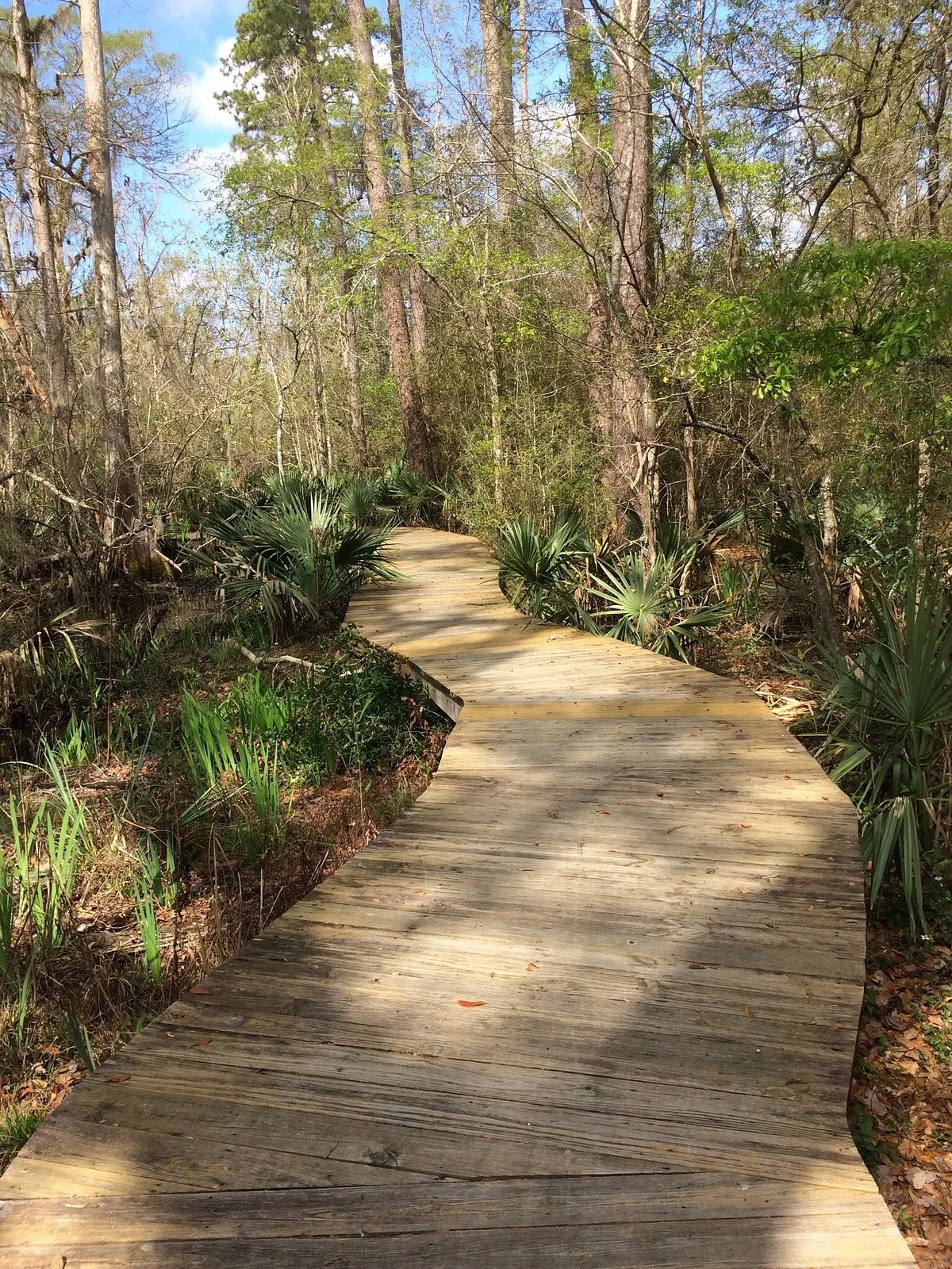 Camp Salmen Nature Park