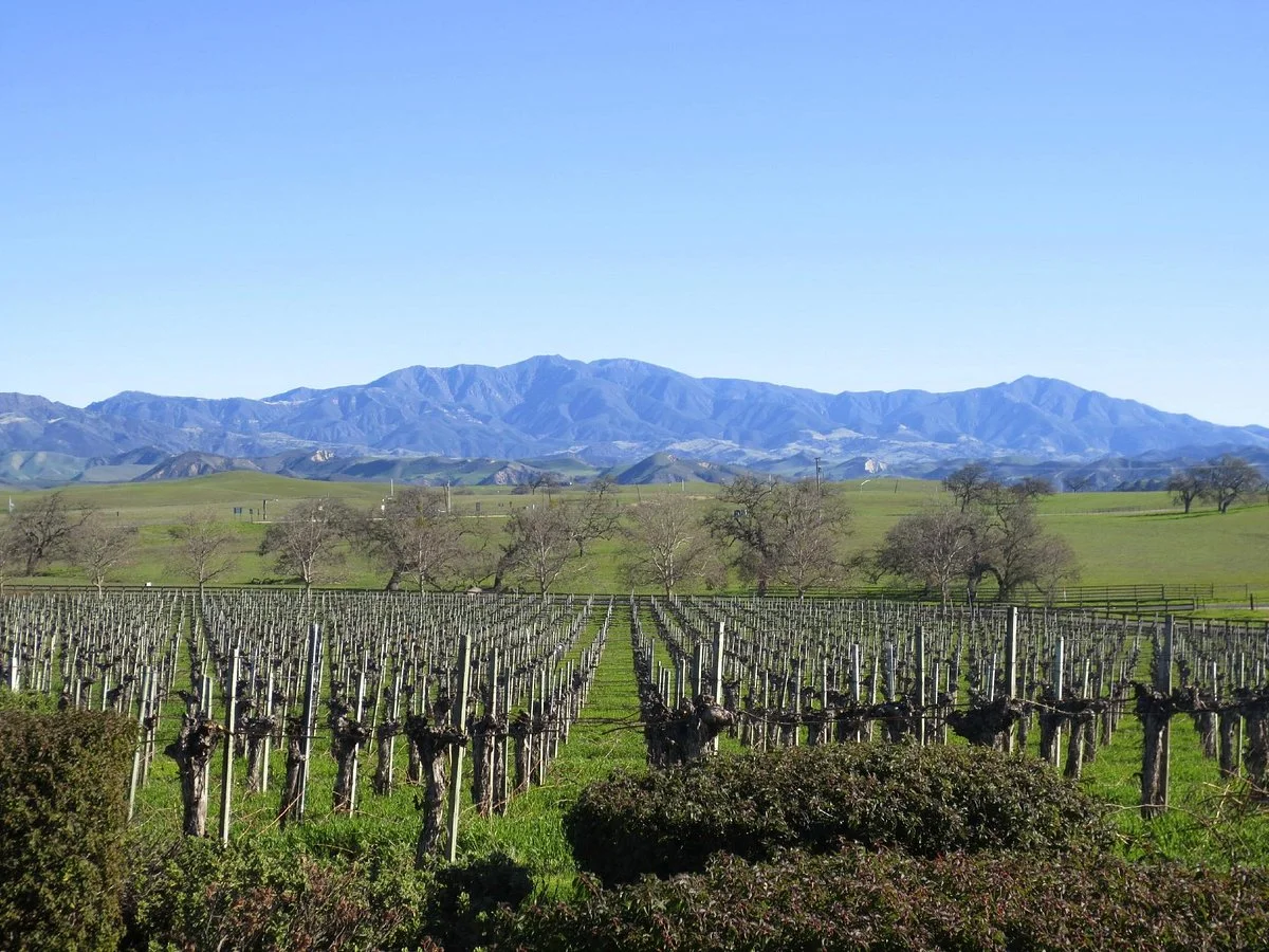 Santa Ynez Valley