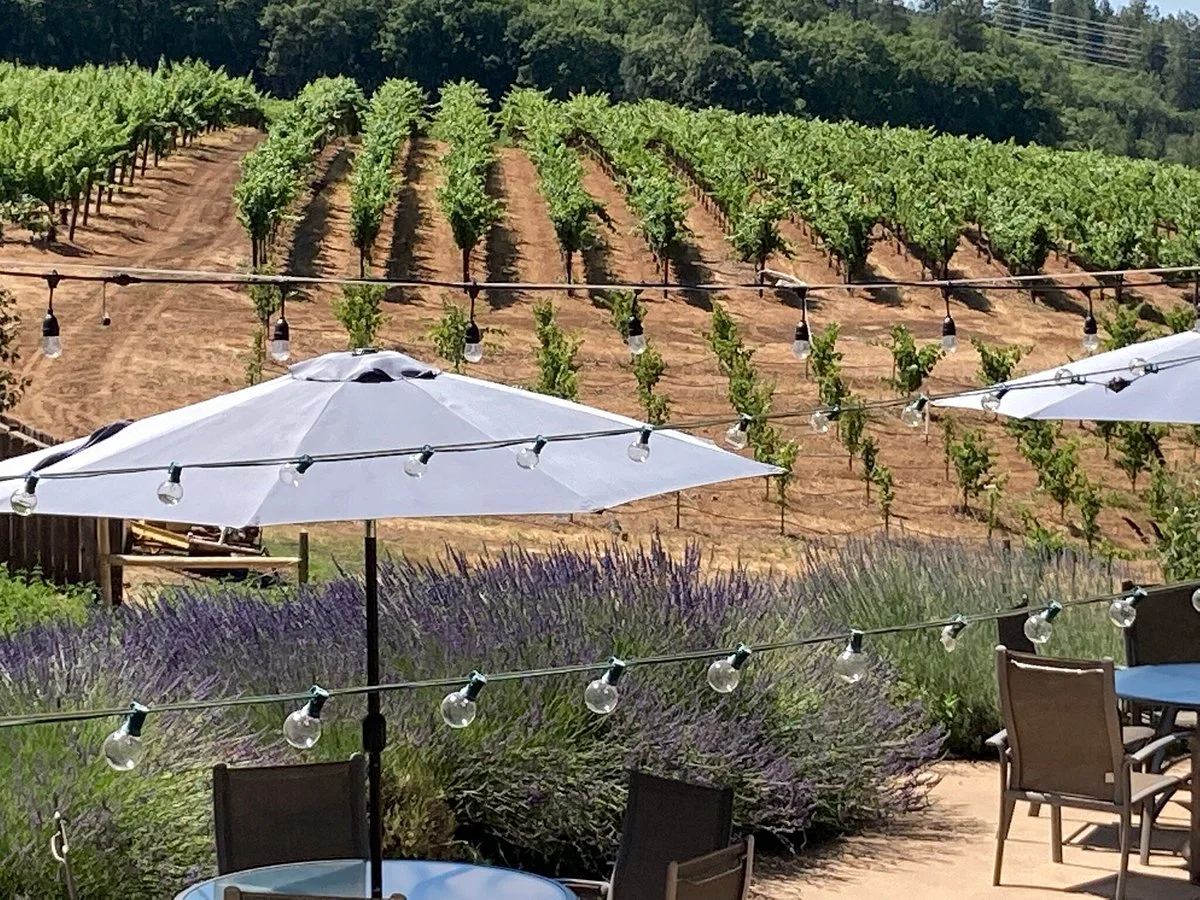 Lava Cap Winery