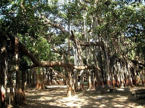 Kabirvad