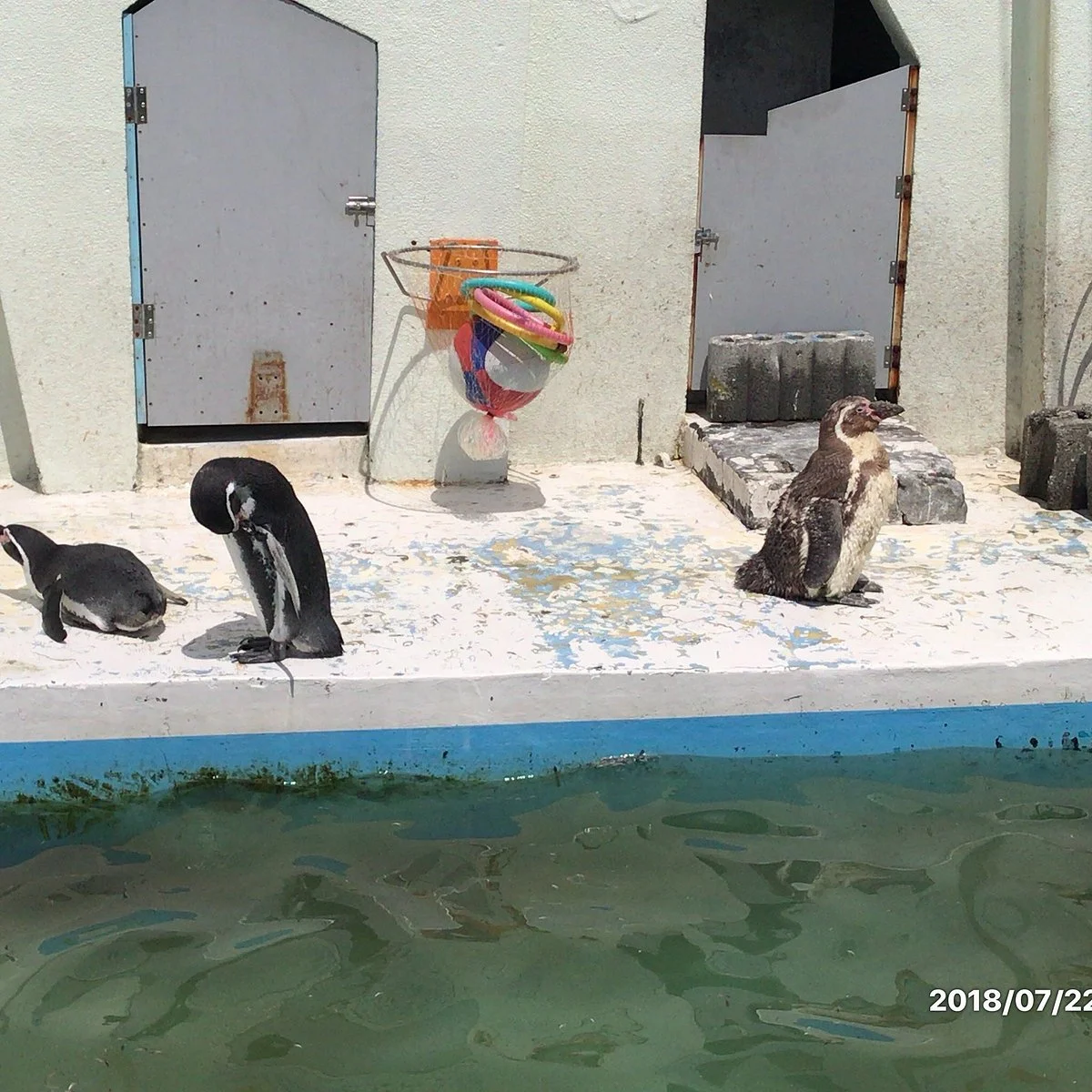 Wakkanai City Noshappu Aquarium