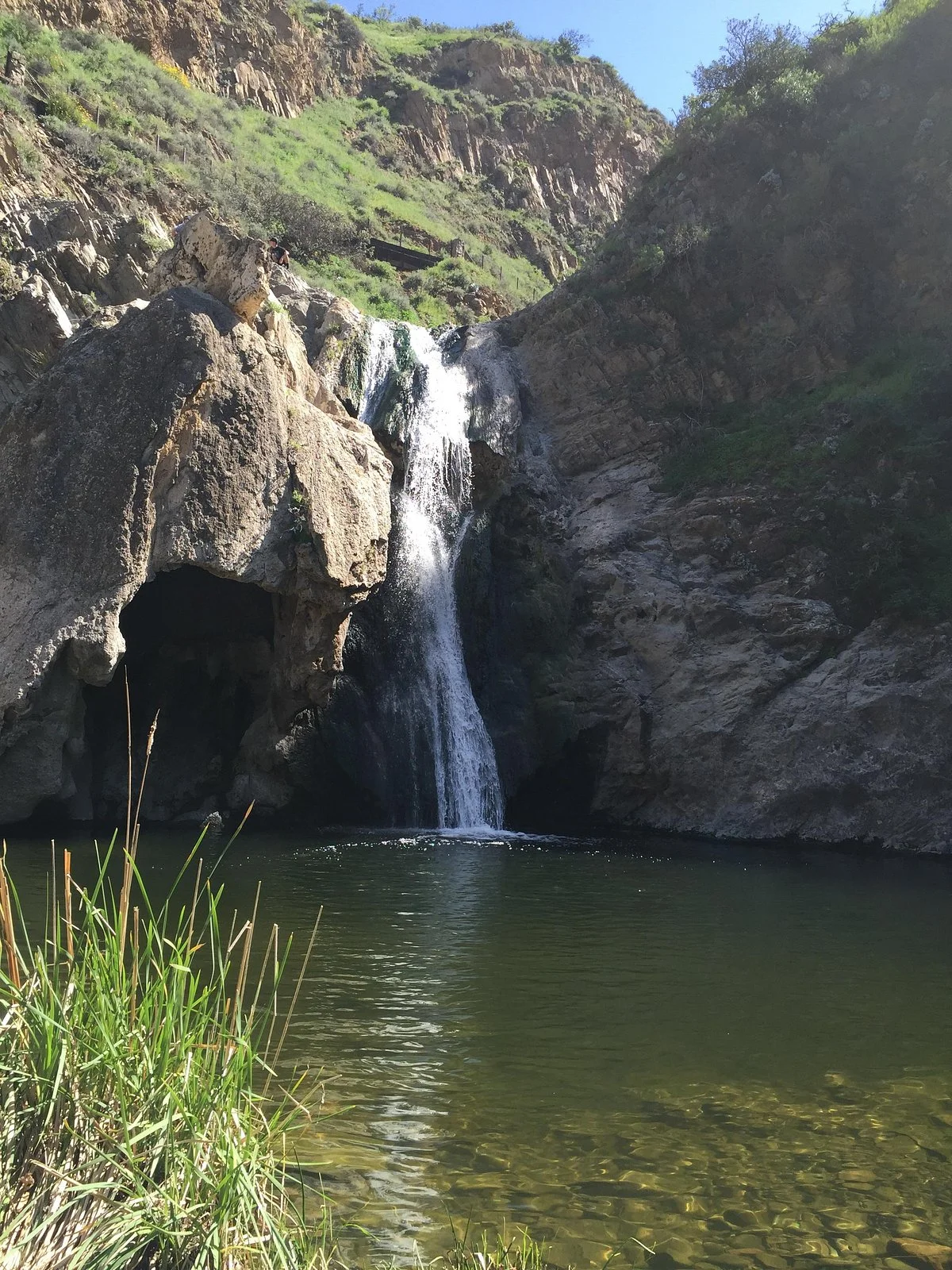 Paradise Falls