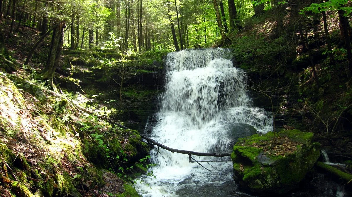 Robert V Riddell State Park
