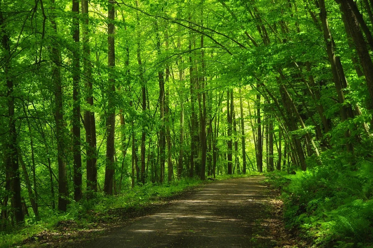 Blackhand Gorge State Nature Preserve